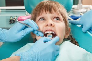Dentition – formation
